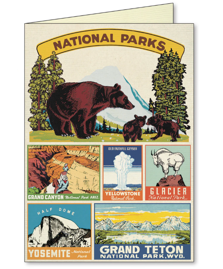 Cavallini National Parks Boxed Notecards