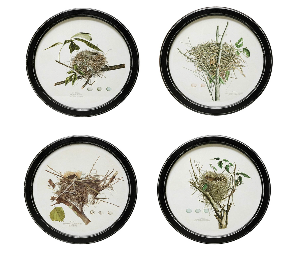 Round Vintage Inspired Nest Print, 4 Styles