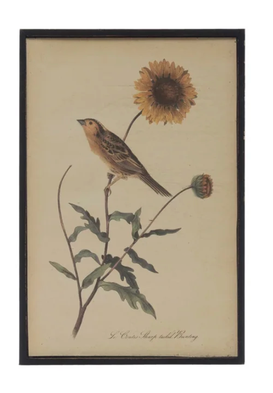 Vintage Inspired Bird & Flower Framed Print, 4 Styles
