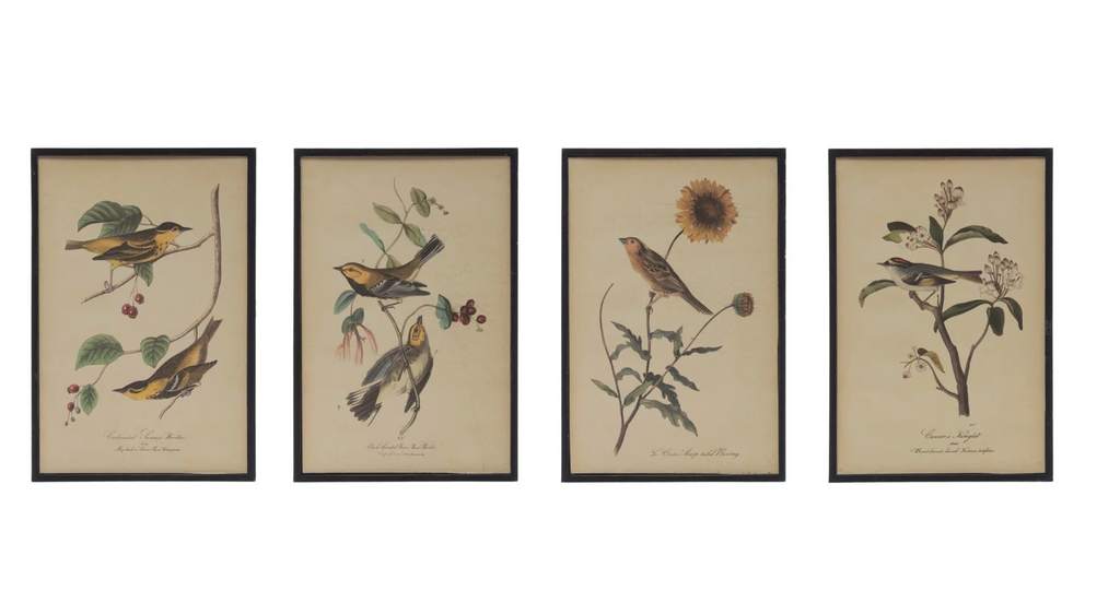 Vintage Inspired Bird & Flower Framed Print, 4 Styles