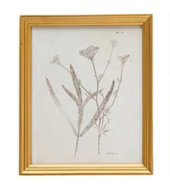 Botanical Print with Gold Finish Frame, 2 Styles