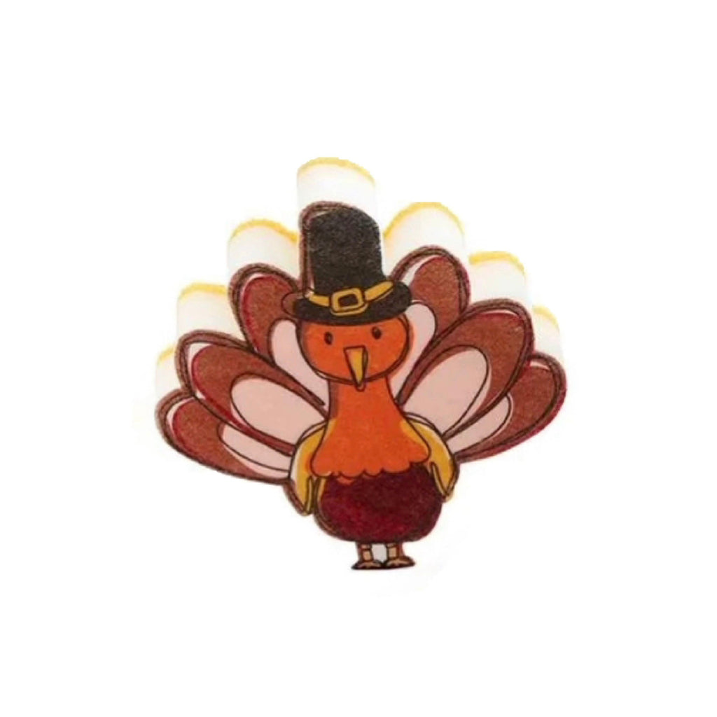 Thanksgiving Sponge, 4 Styles