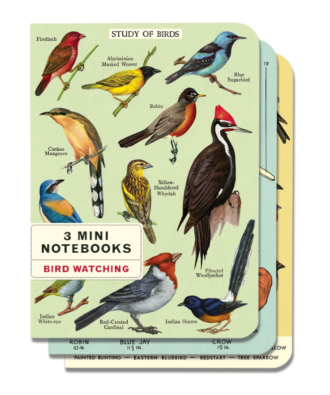 Cavallini Mini Bird Watching Notebooks, Set of 3