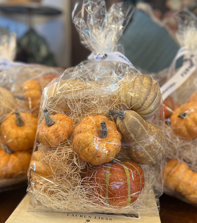 Assorted Fall Pumpkins in Clear Bag, Set of 9