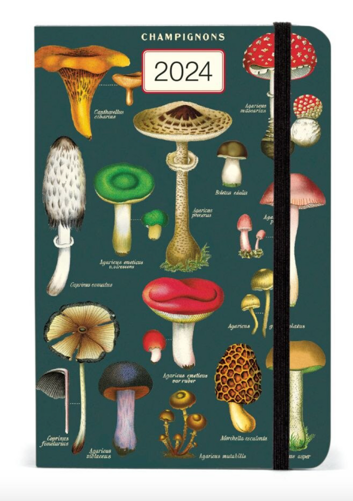 Cavallini & Co. 2024 Weekly Planner, Mushrooms