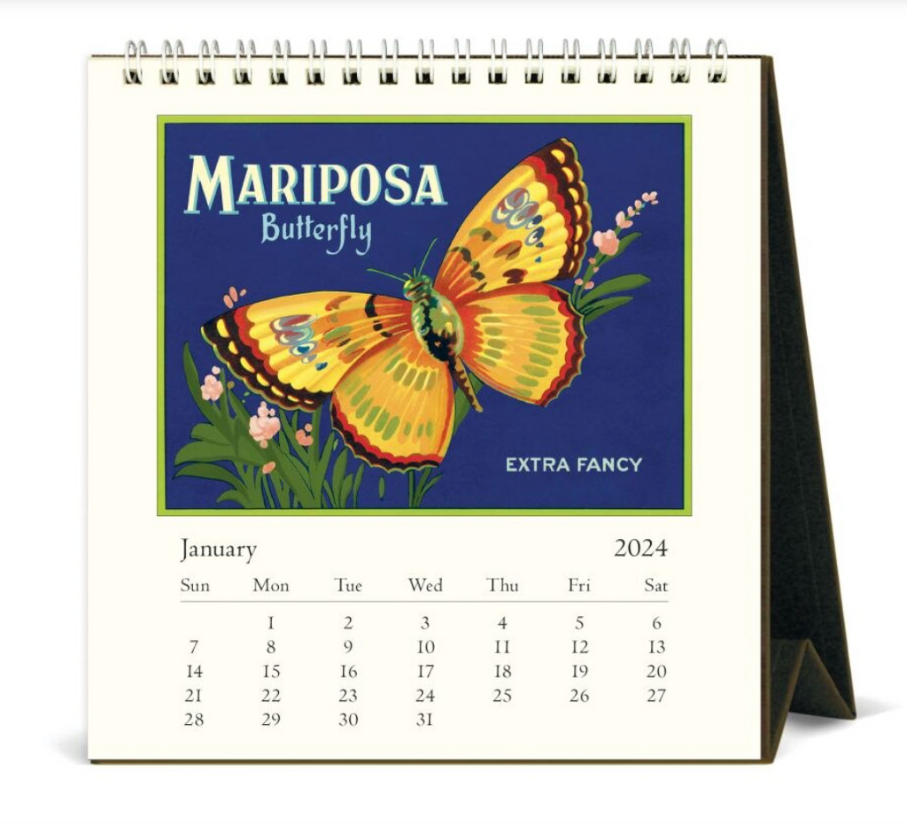 Cavallini & Co. 2024 Desk Calendar, Butterflies
