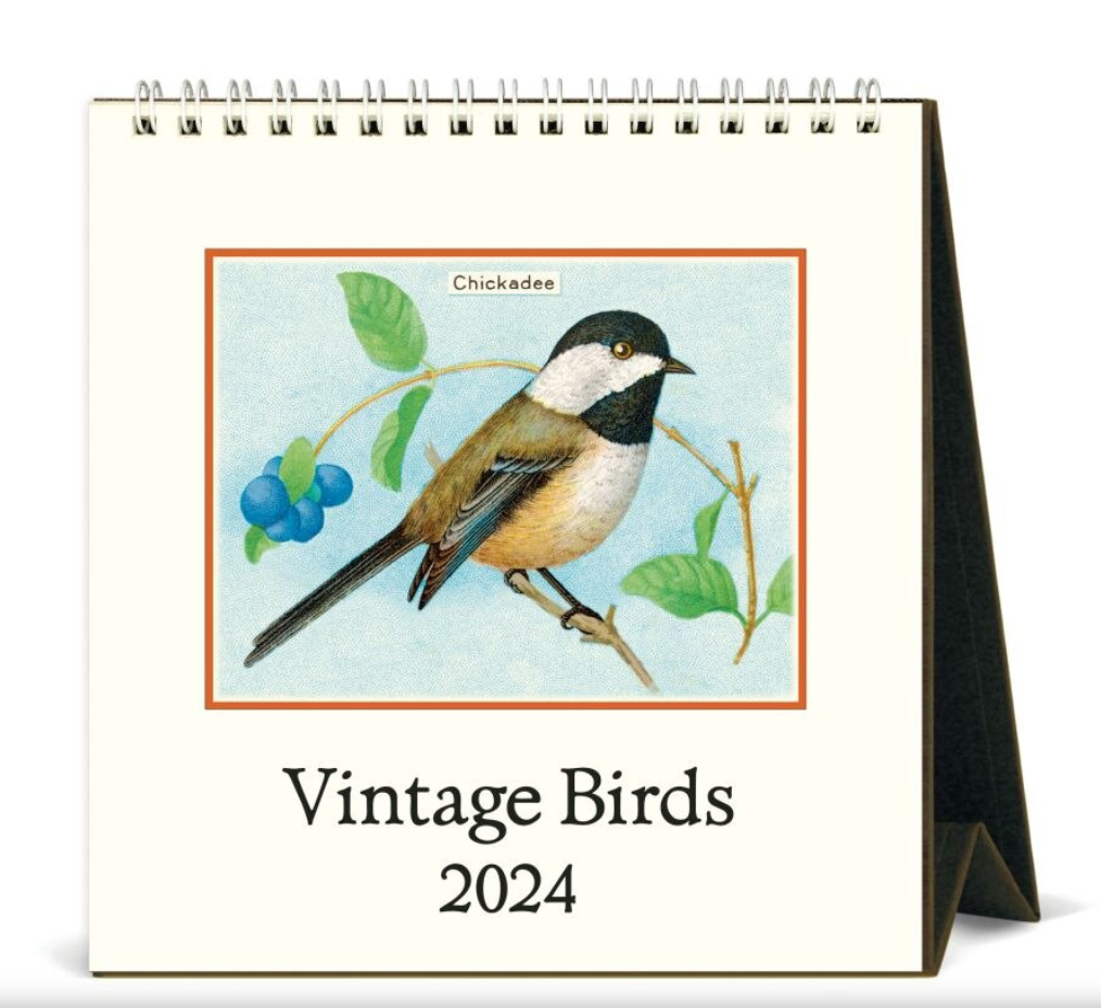 Cavallini & Co. 2024 Desk Calendar, Vintage Birds