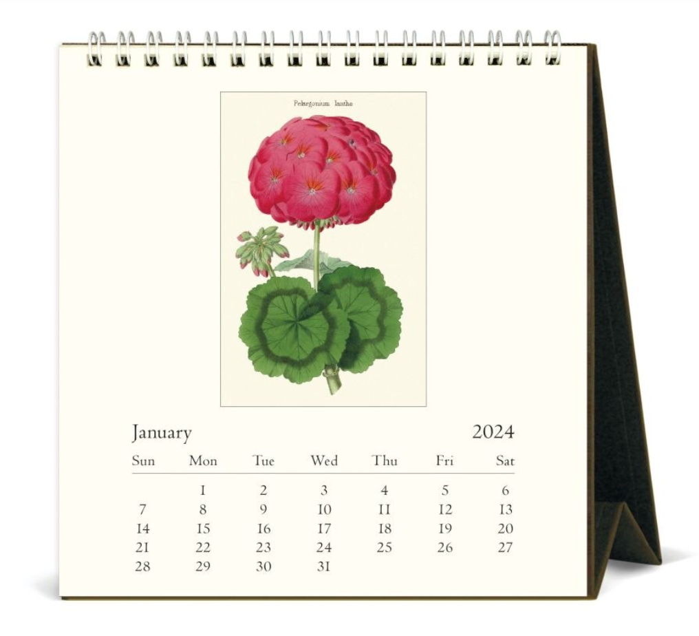 Cavallini & Co. 2024 Desk Calendar, Botanica