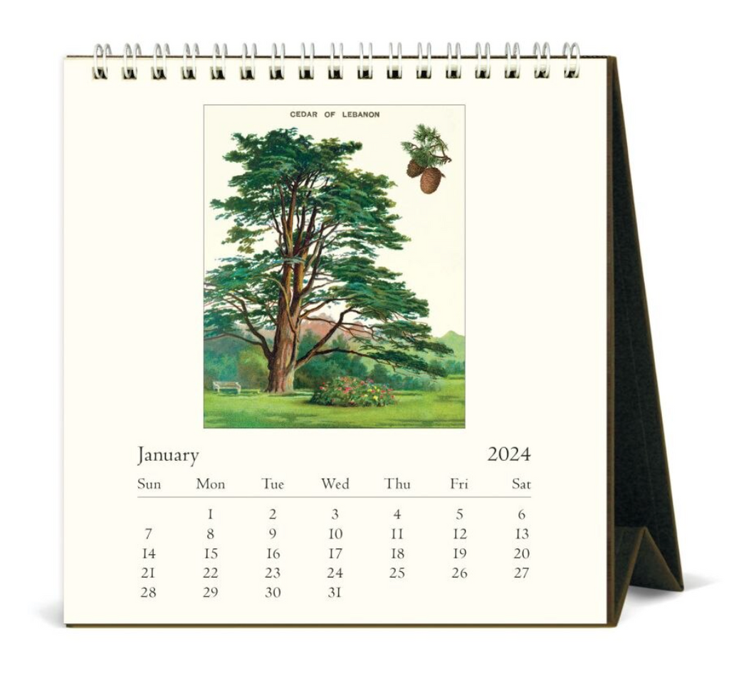 Cavallini & Co. 2024 Desk Calendar, Arboretum