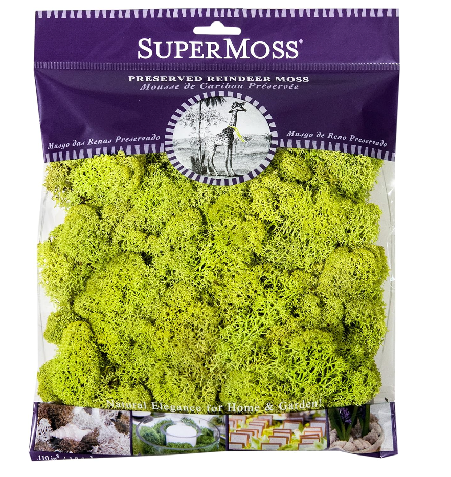 SuperMoss Reindeer Moss, Chartreuse, 4 Ounce Package