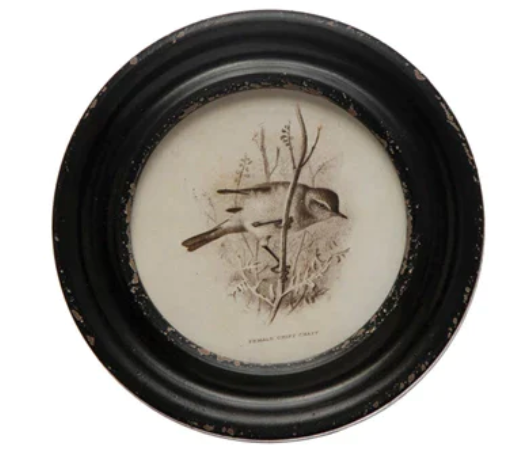 Framed Round Bird Print, Black & Ivory, 4 Styles