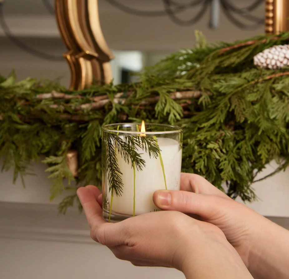 Thymes Frasier Fir Pine Needle Candle, 6.5 Ounces