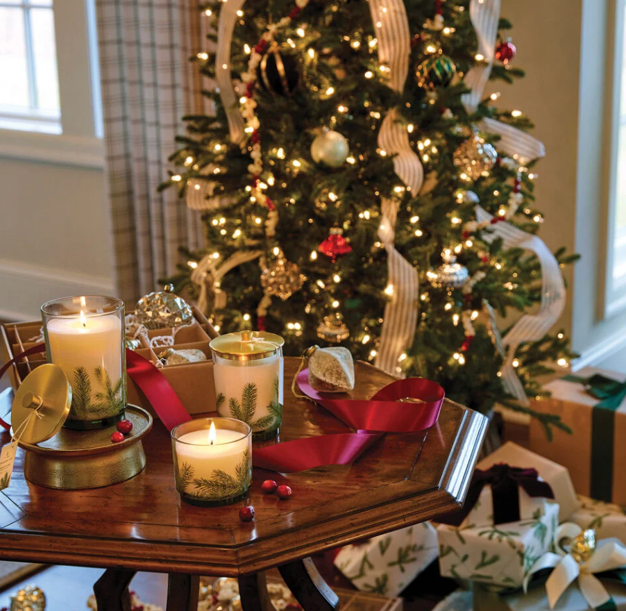 Thymes Frasier Fir Pine Needle Luminary Candle ~ Medium, 11 Ounces