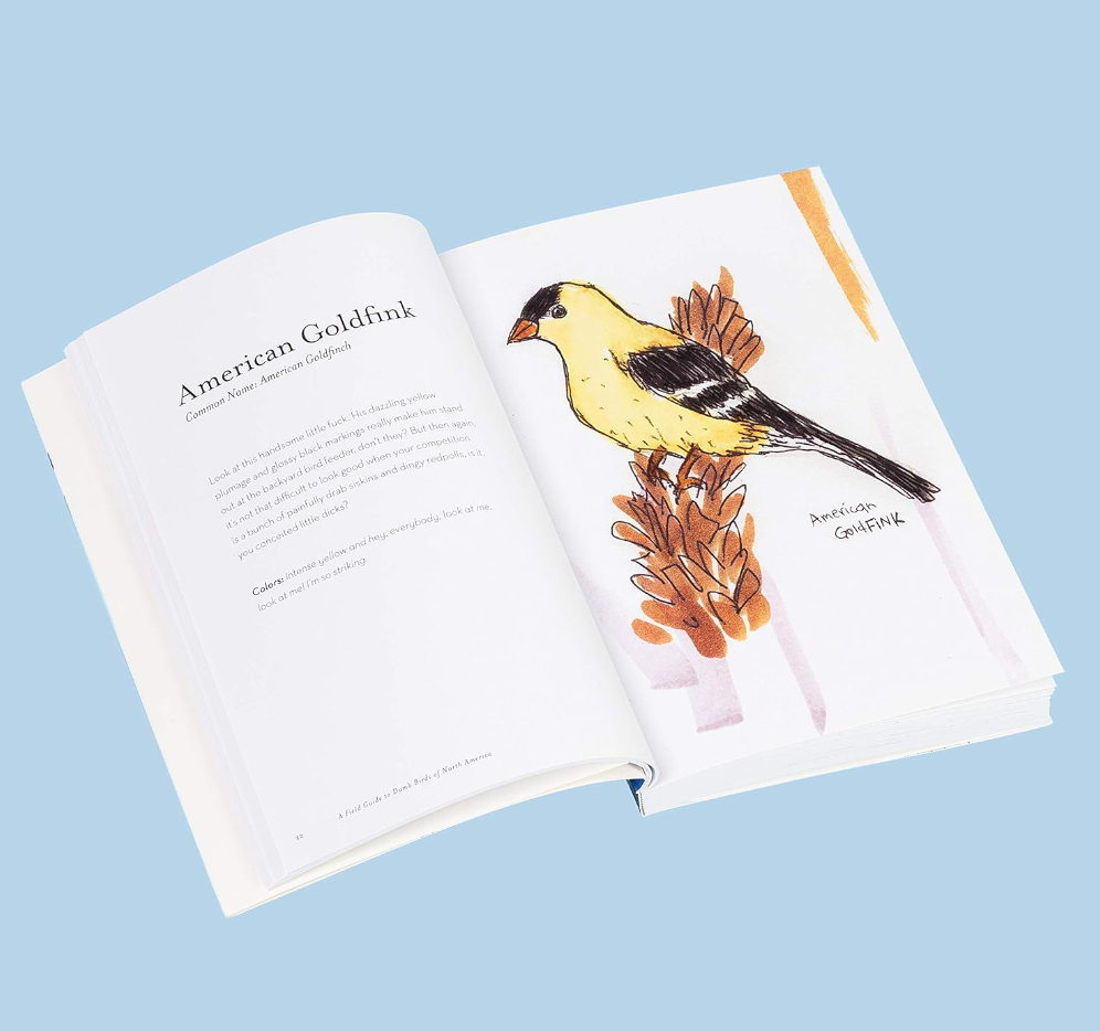 The Field Guide to Dumb Birds of North America Book