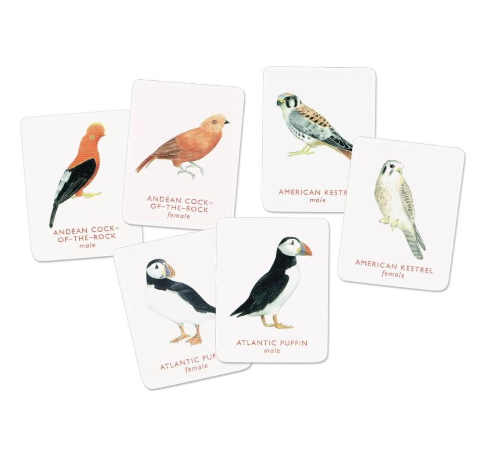 Match a Pair of Birds Memory Game