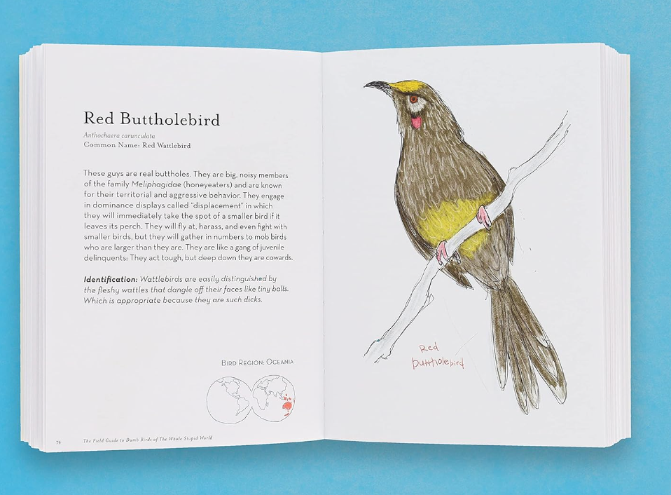 Field Guide to Dumb Birds of the Whole Stupid World Book