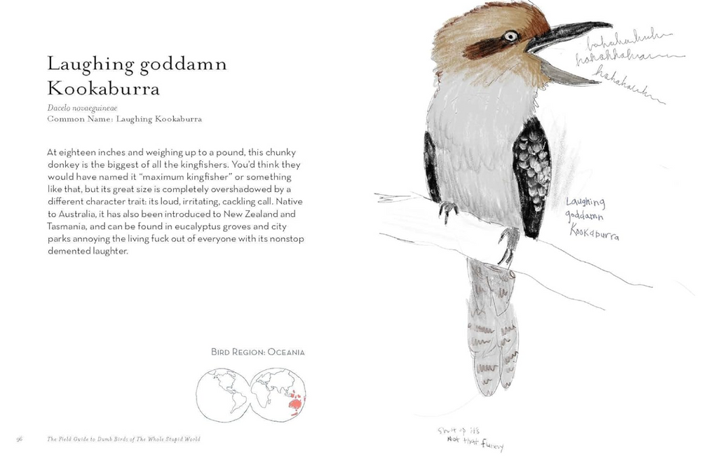 Field Guide to Dumb Birds of the Whole Stupid World Book