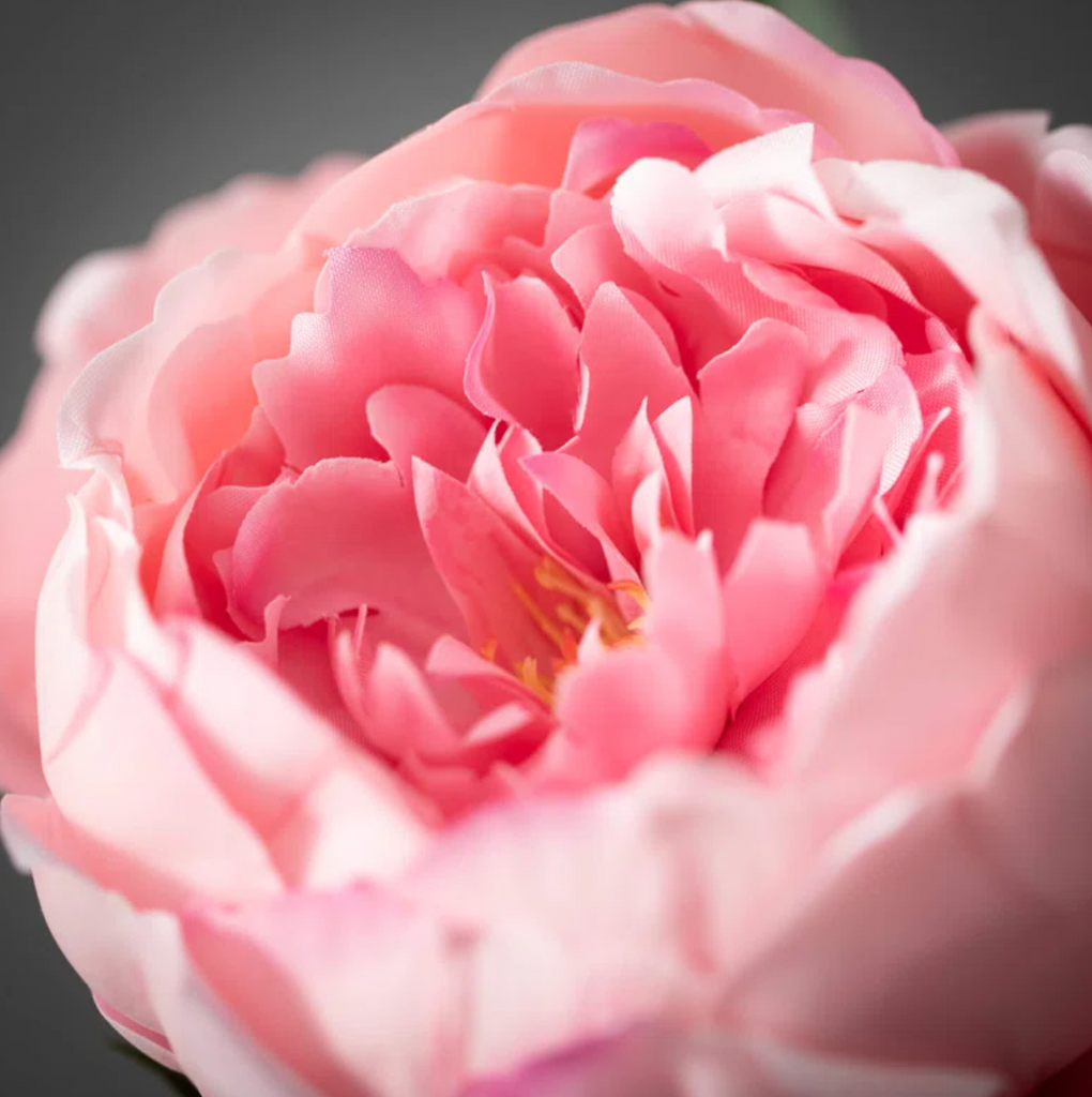 24" Real Touch Peony Spray - Pink