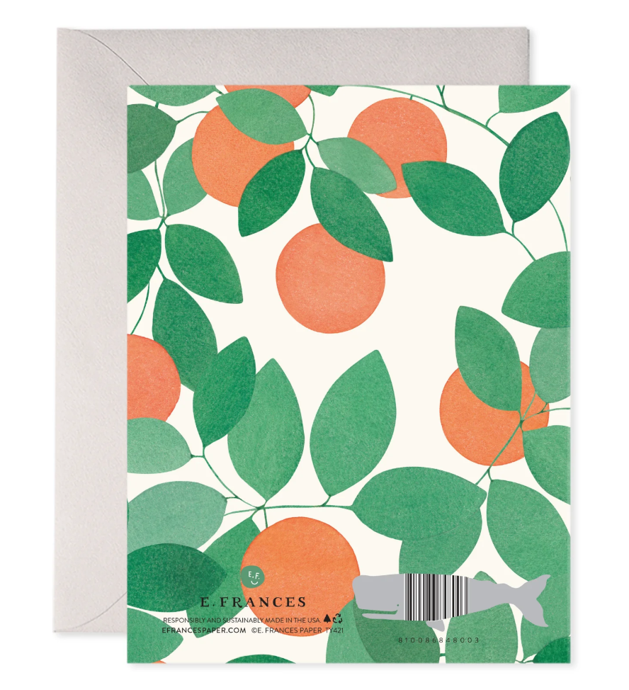 Orange Grove Thank You Greeting Card