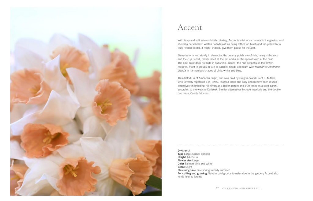 Daffodils Book