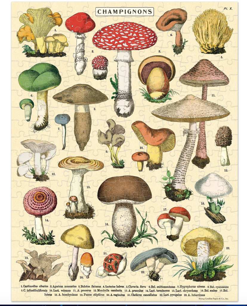 Cavallini Mushroom Vintage Mini Puzzle, 240 Pieces