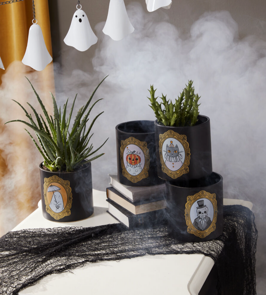 Spooky Portrait Pot, 4 Styles