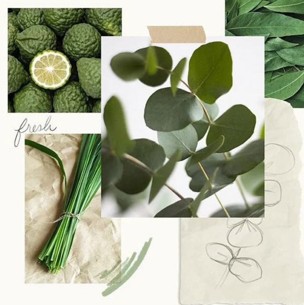 Thymes Eucalyptus Travel Set with Beauty Bag