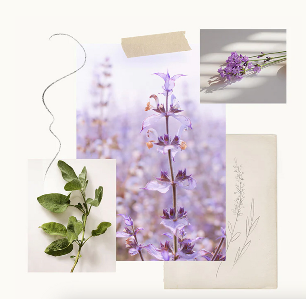 Thymes Lavender Travel Set with Beauty Bag
