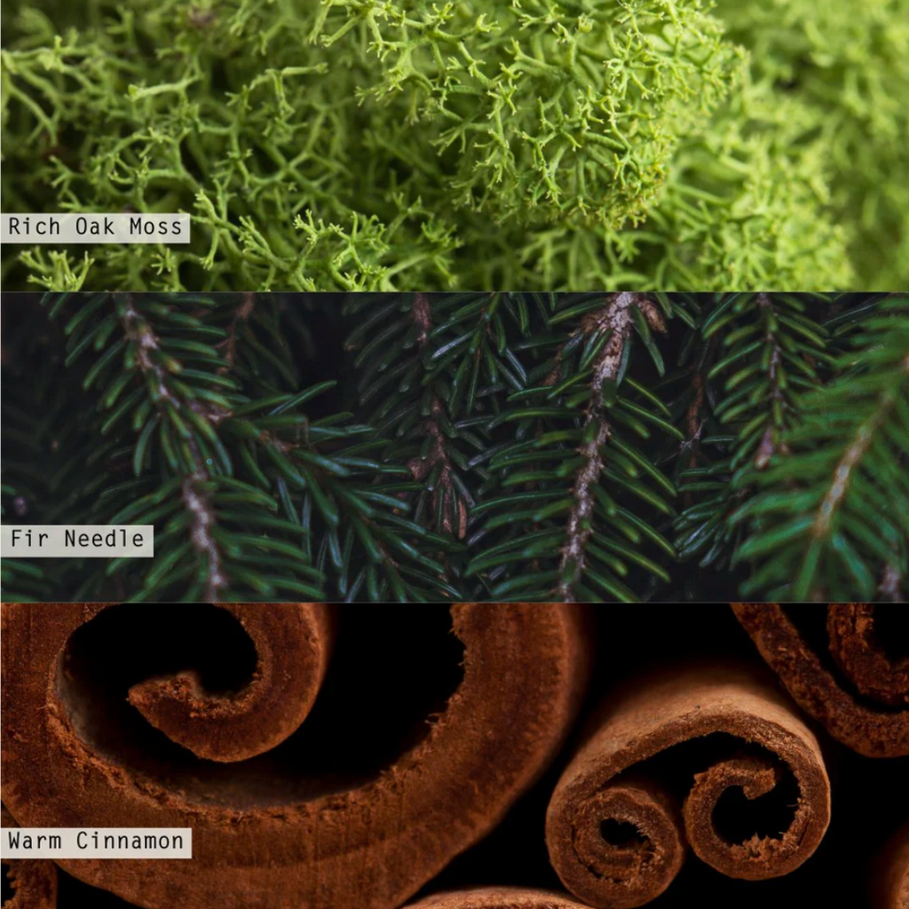 Illume Balsam & Cedar Refillable Aromatic Diffuser