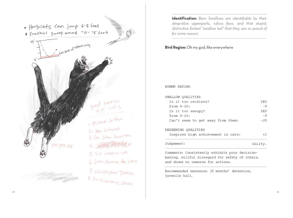A Dumb Birds Field Guide to the Worst Birds Ever Book