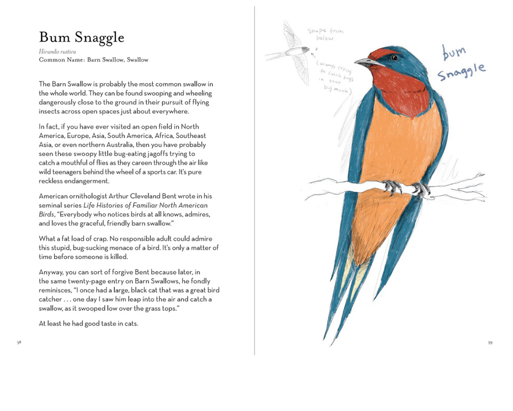 A Dumb Birds Field Guide to the Worst Birds Ever Book