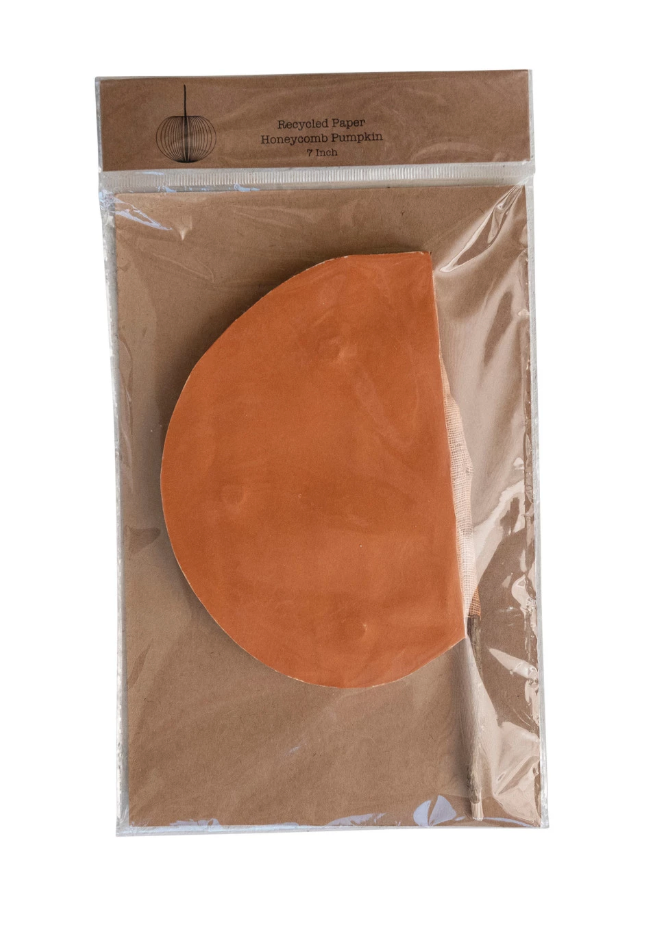 Folding Paper Pumpkin w/ Dried Twig Stem, Orange, 2 Sizes