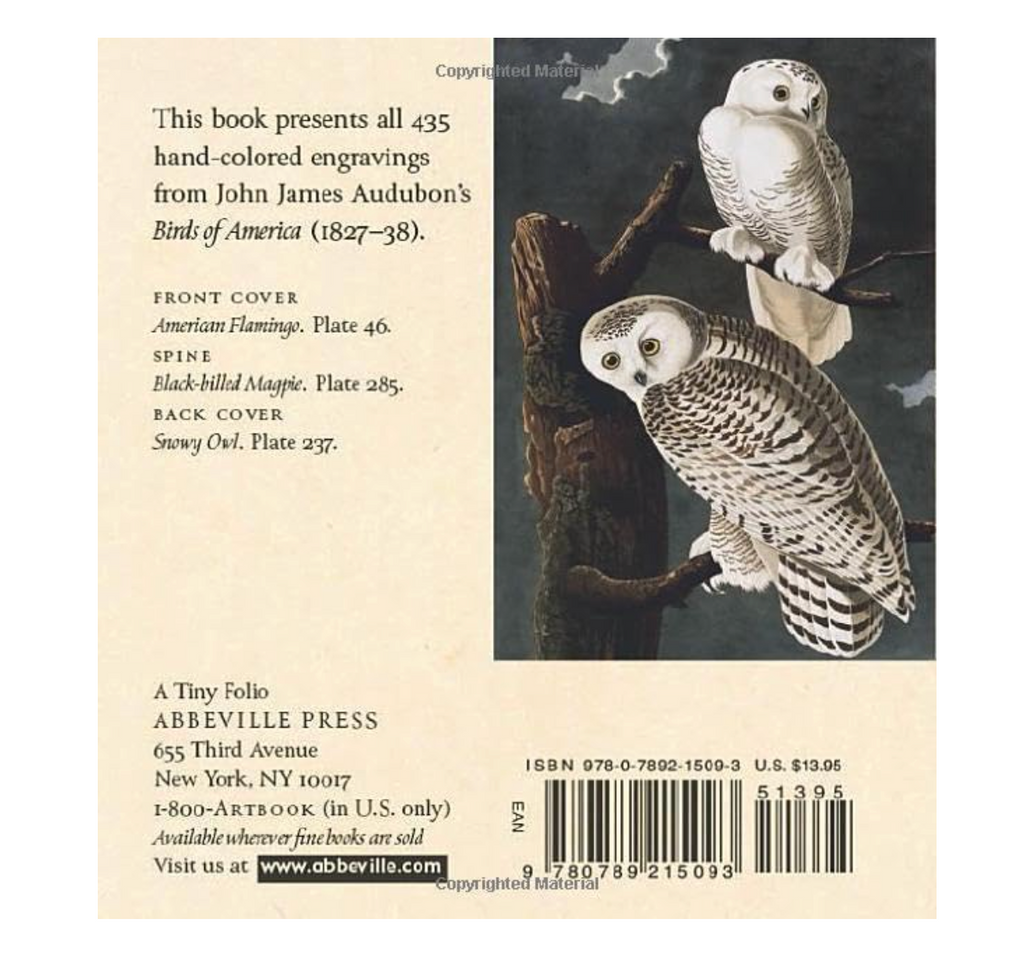 Audubon's Birds of America: The Tiny Folio