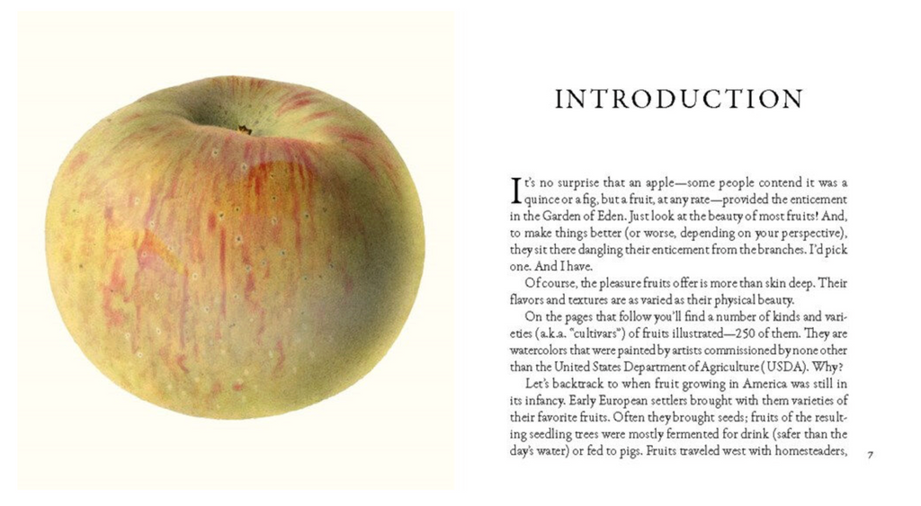 Fruit: From the USDA Pomological Watercolor Collection Tiny Folio Book