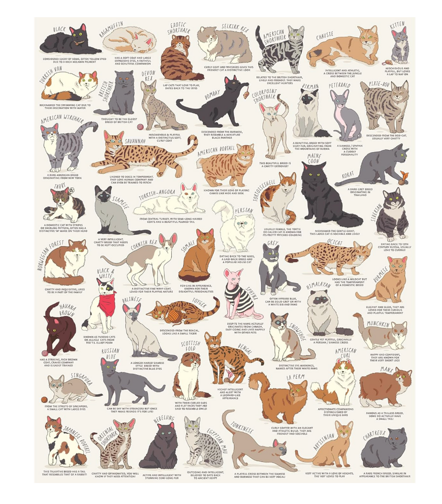 Cat Lover's 1000 Piece Puzzle