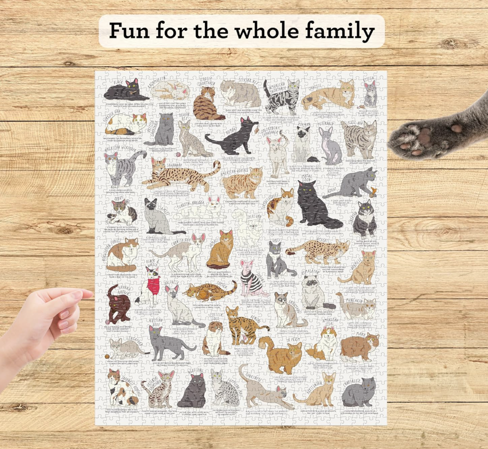 Cat Lover's 1000 Piece Puzzle