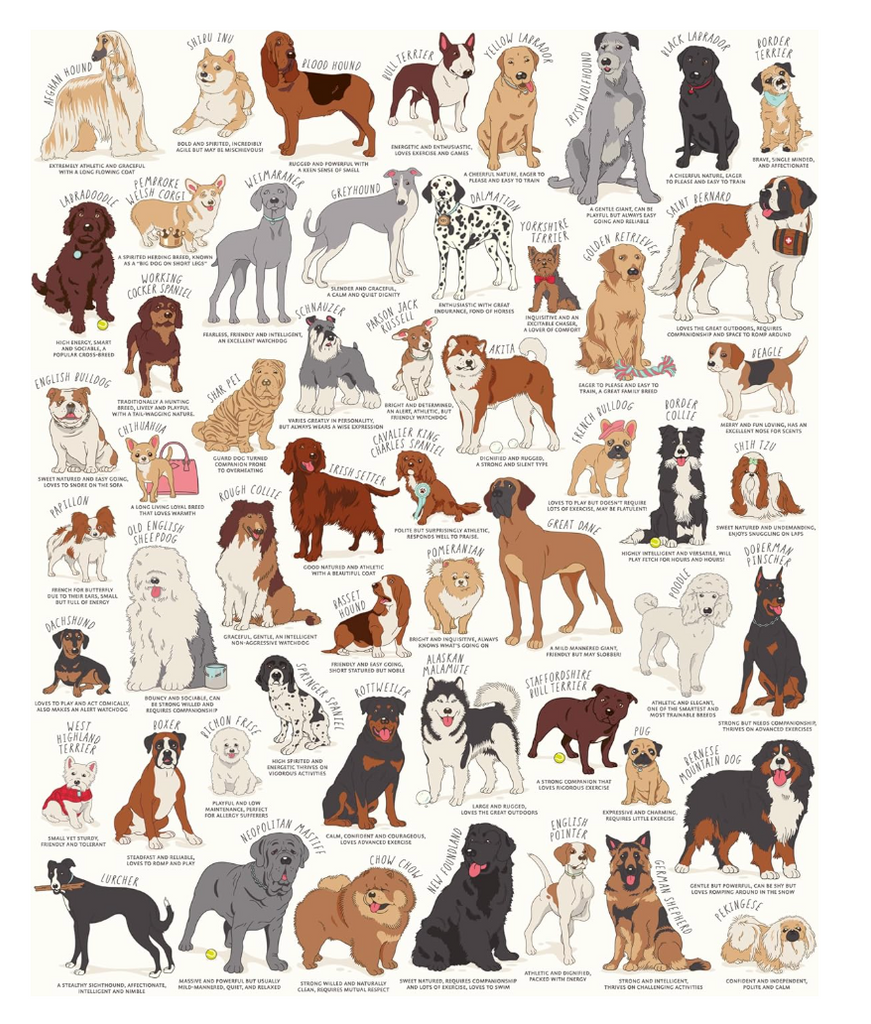 Dog Lover's 1,000 Piece Jigsaw Puzzle