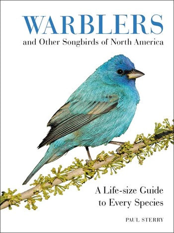 Warblers and Other Songbirds of North America Book