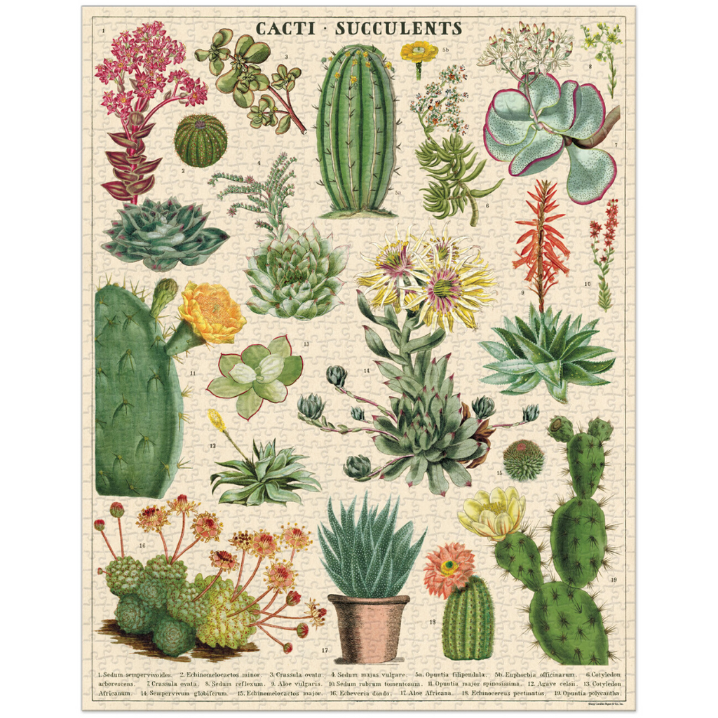 Cavallini & Co. Cacti & Succulents Vintage Puzzle