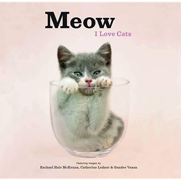Meow - I Love Kittens Book