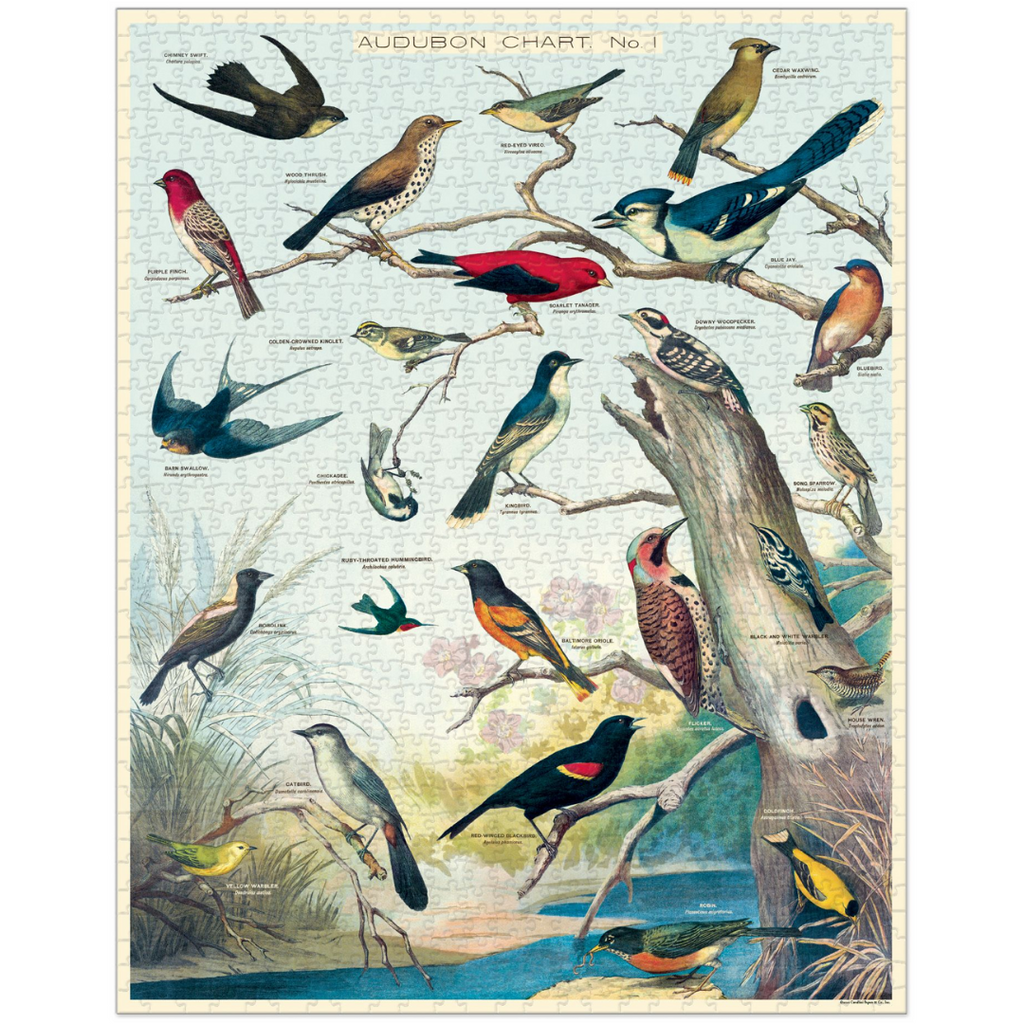 Cavallini Audubon Birds Vintage Puzzle