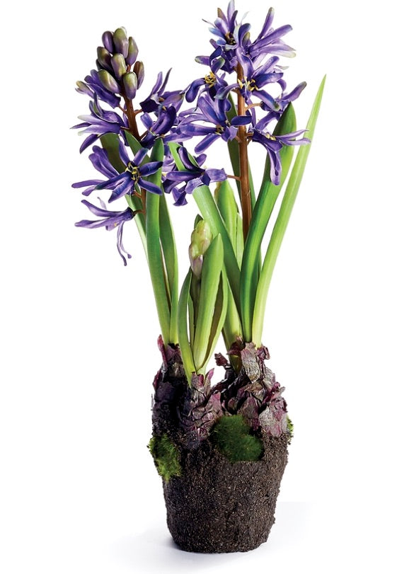 13" Blue-Violet Hyacinth Drop In