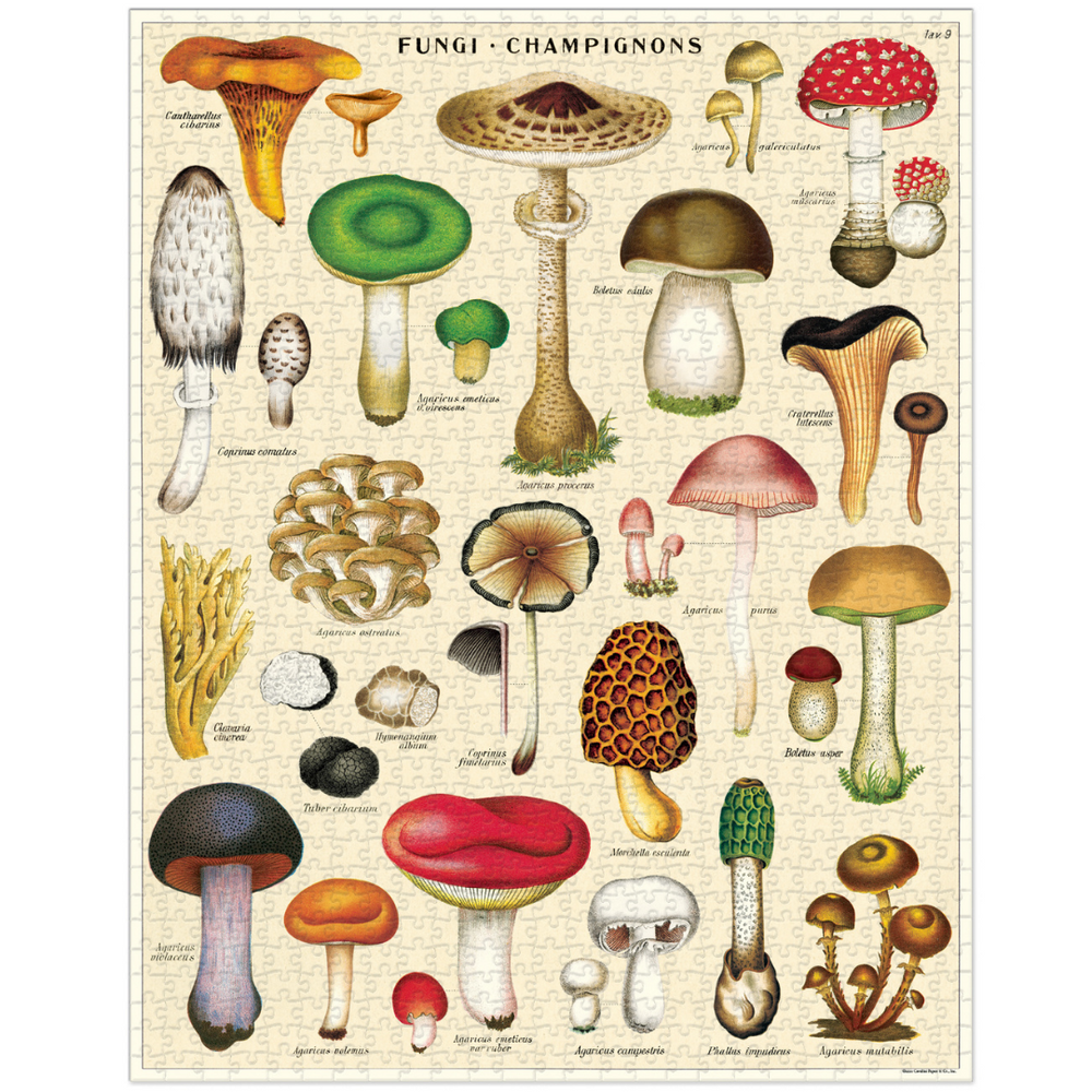 Cavallini Mushrooms Vintage Puzzle