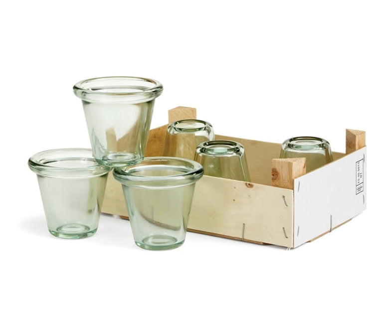 Mini Glass Pot