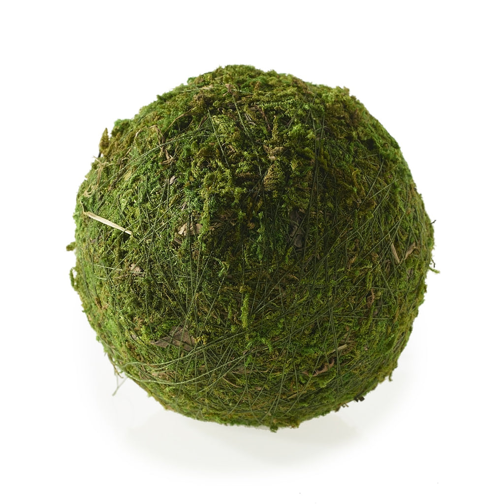 4 Inch Moss Ball