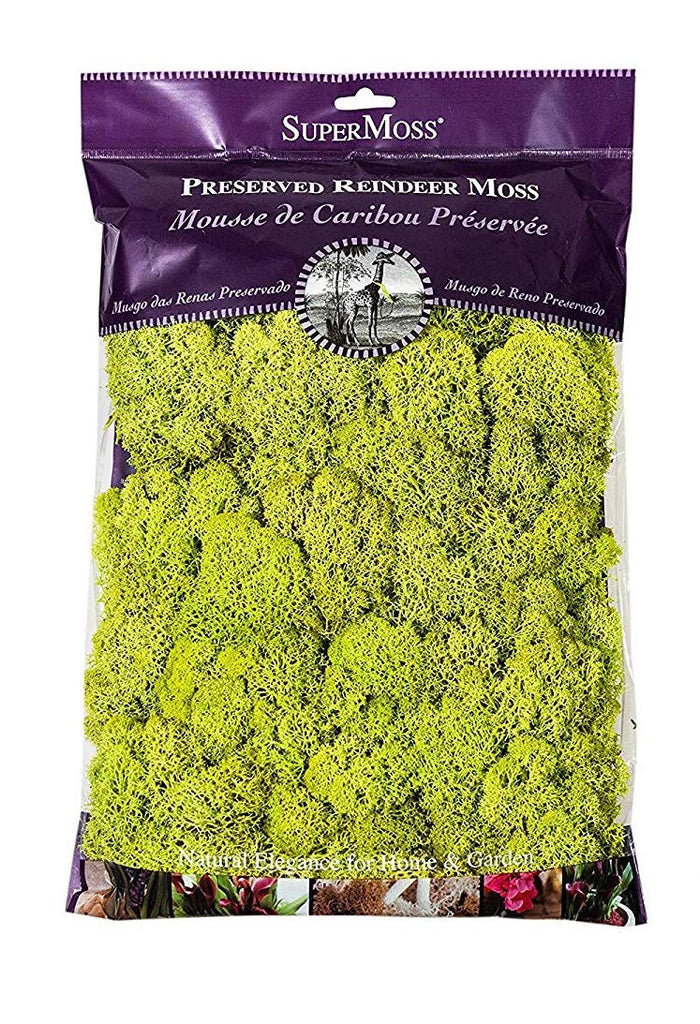 SuperMoss Reindeer Moss, Chartreuse, 2 Ounce Package