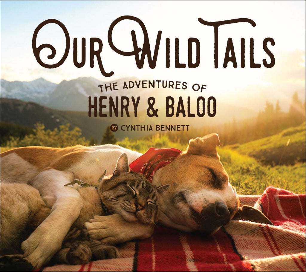 Our WIld Tails: The Adventures of Henry & Baloo Book